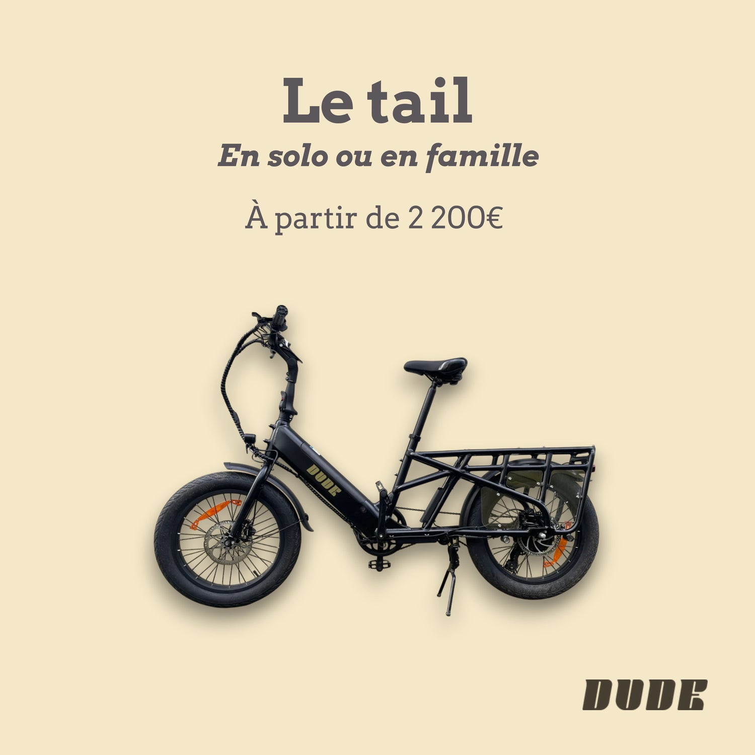 Vélo cargo électrique 